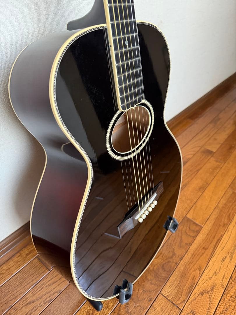 ギター stringphoonic LeRoy Oval