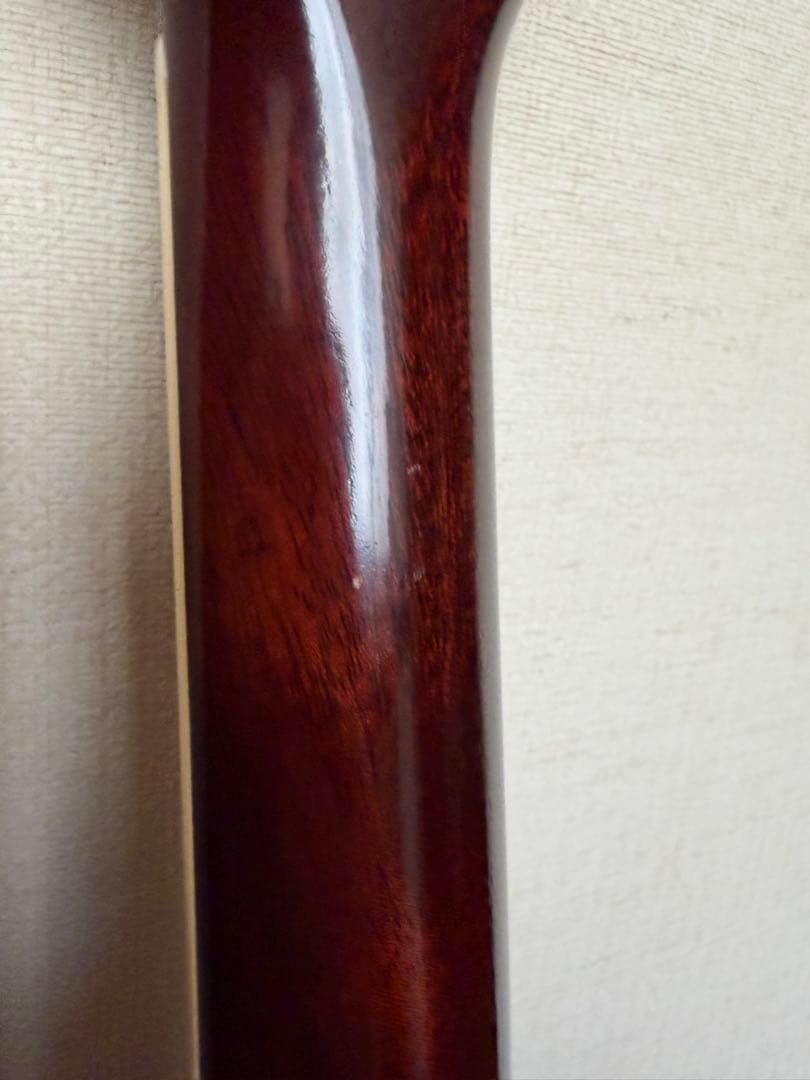 ギター stringphoonic LeRoy Oval