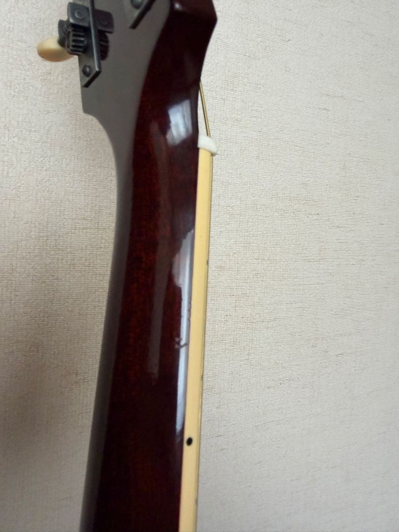 ギター stringphoonic LeRoy Oval