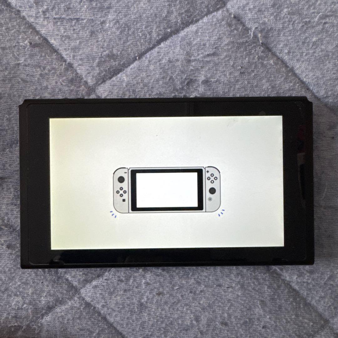 Nintendo Switch 本体+ プロコントローラー + ドッグ