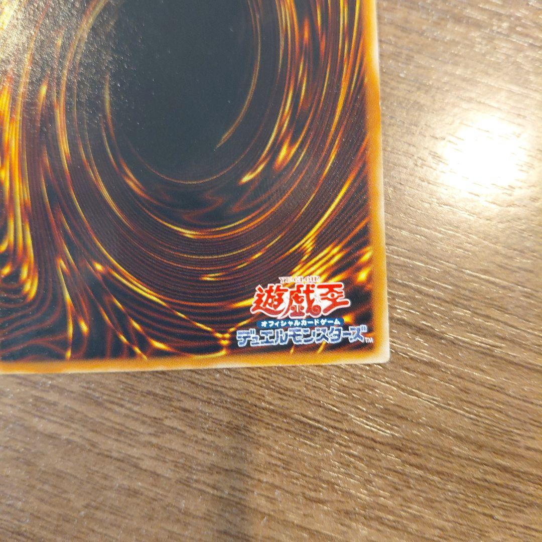 真紅眼の闇竜/レッドアイズダークネスドラゴン/ ドラゴン族/遊戯王/レリーフ