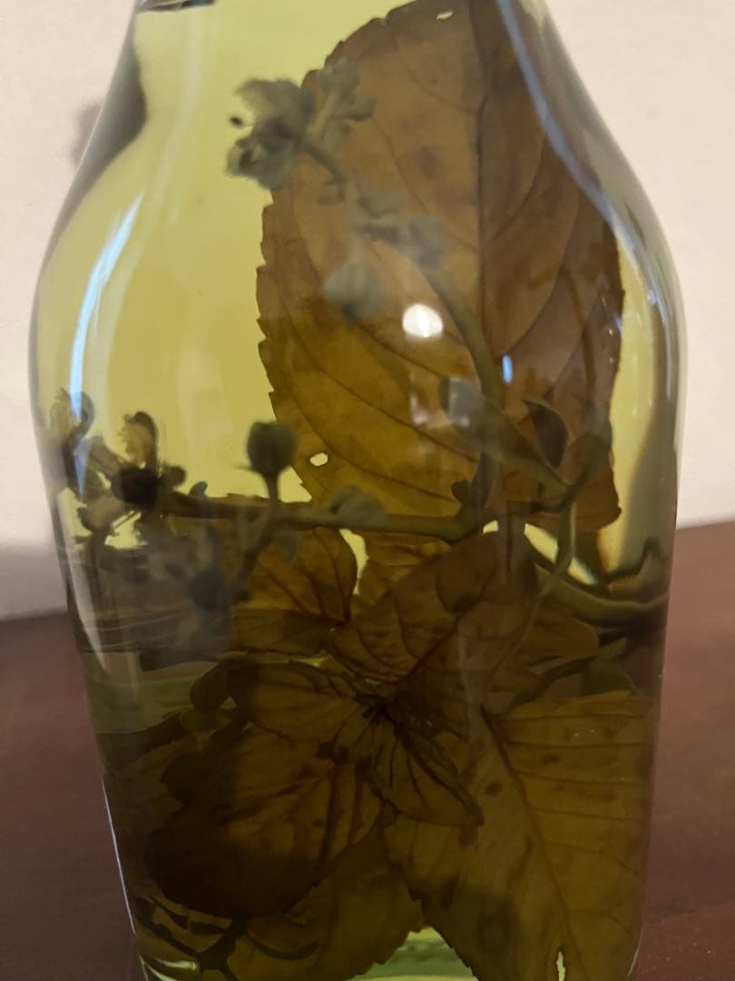 ら*ん様 ロマーノレヴィ　ハーブ入り1997年ビンテージ　グラッパ