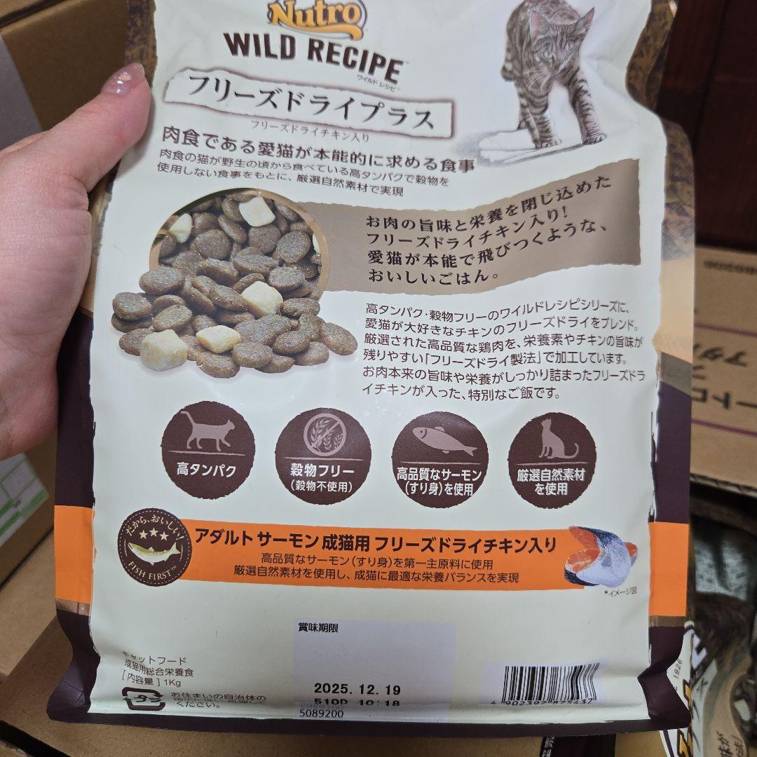 WILD RECIPE フリーズドライプラス 1kg×10袋 アダルトサーモン