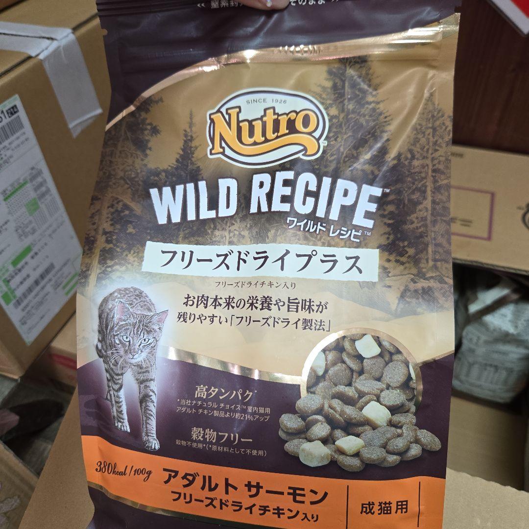 WILD RECIPE フリーズドライプラス 1kg×10袋 アダルトサーモン