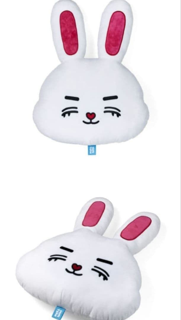 SEVENTEEN MINITEEN エスクプス フェイスクッション