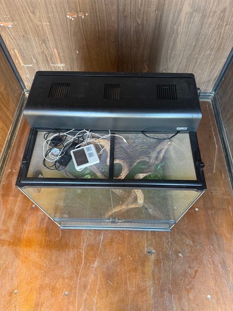 中型爬虫類飼育ケージ 前面ガラス扉