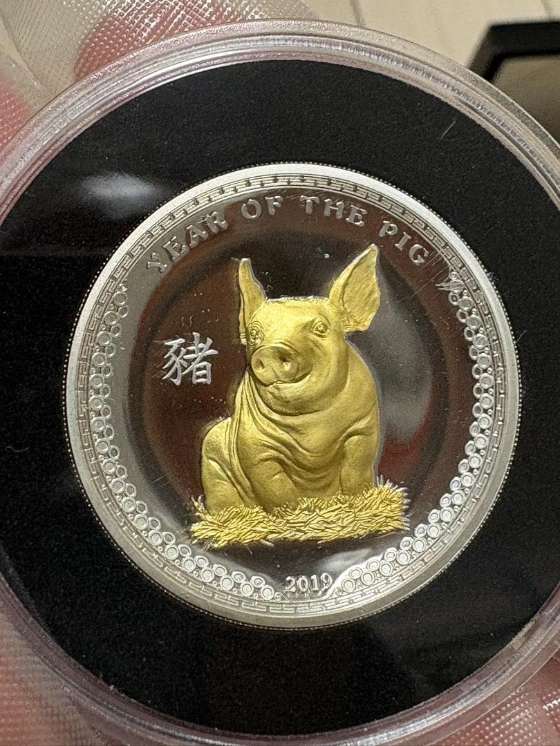 【新品/未使用】2019 パラオ　干支　猪図　金メッキ　5ドル銀貨