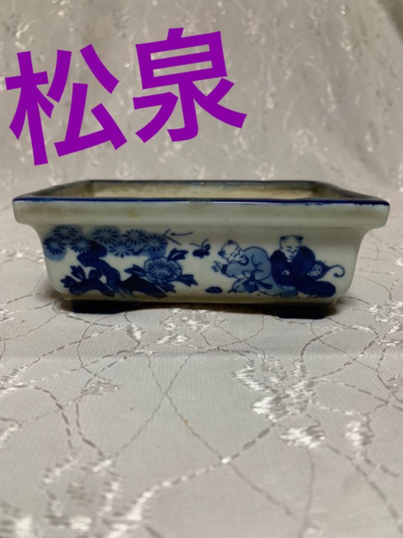 松泉　盆栽鉢3