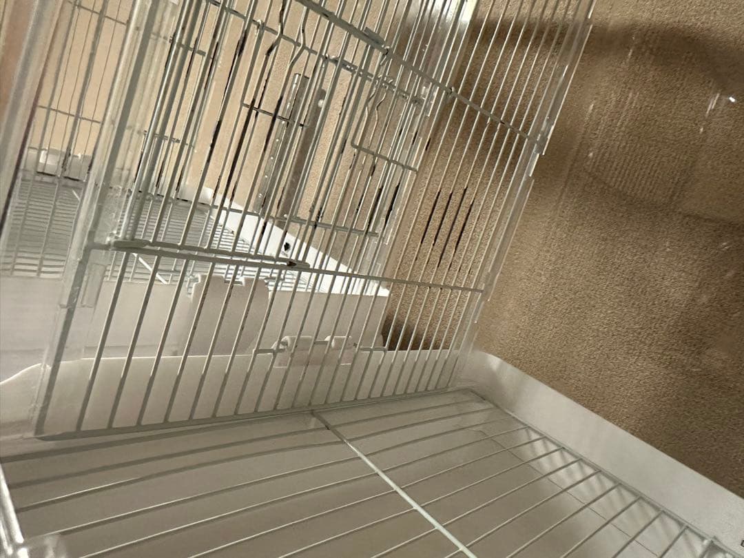 クリアバード35 3個