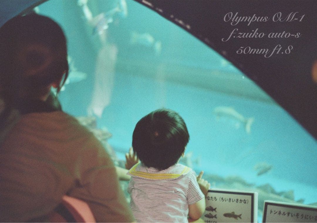 ★完動品＊美品＊初期保証★OM-1 &レンズf1.4★リザード・オリーブブラック