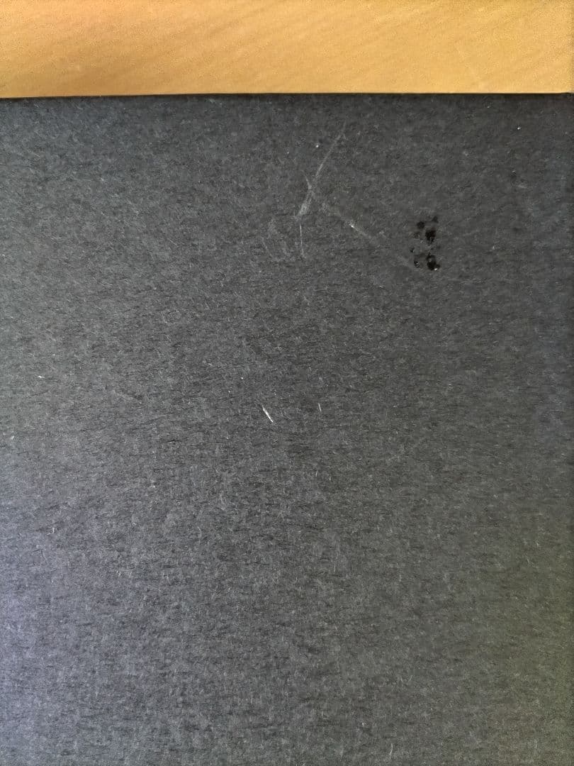 氷室京介　ヒムロック ☆ スケジュール帳 / システム 手帳