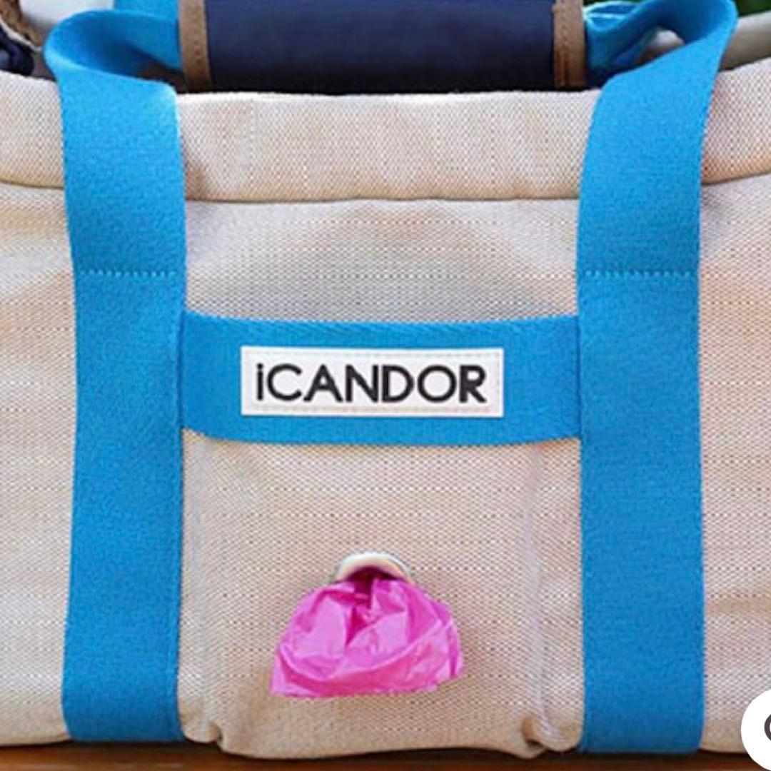 ICANDOR キャリーバッグ ベージュMサイズ