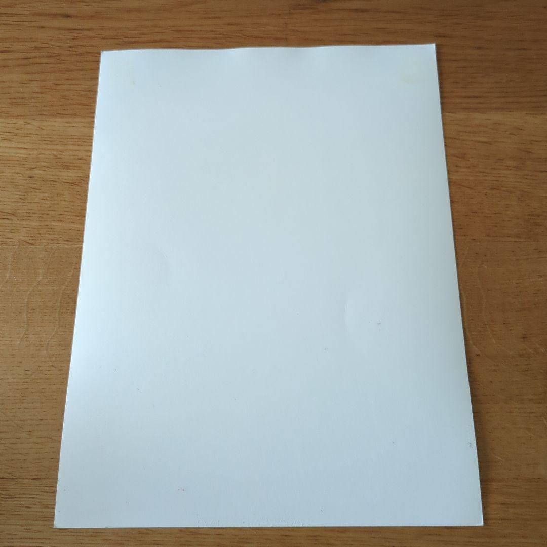 値下げ　マン・レイ　セルフポートレイト