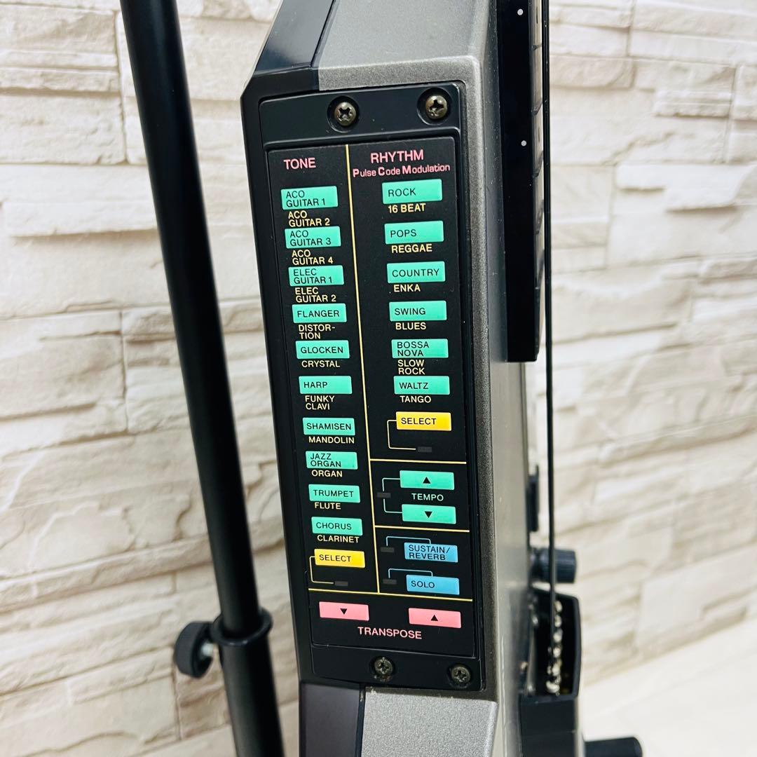 CASIO カシオ 電子ギター DG-20 デジタルギター