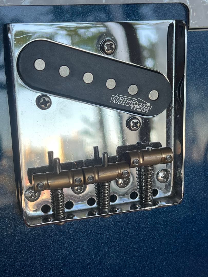 ギター Bacchus universe tele BTC-1R/DLPB