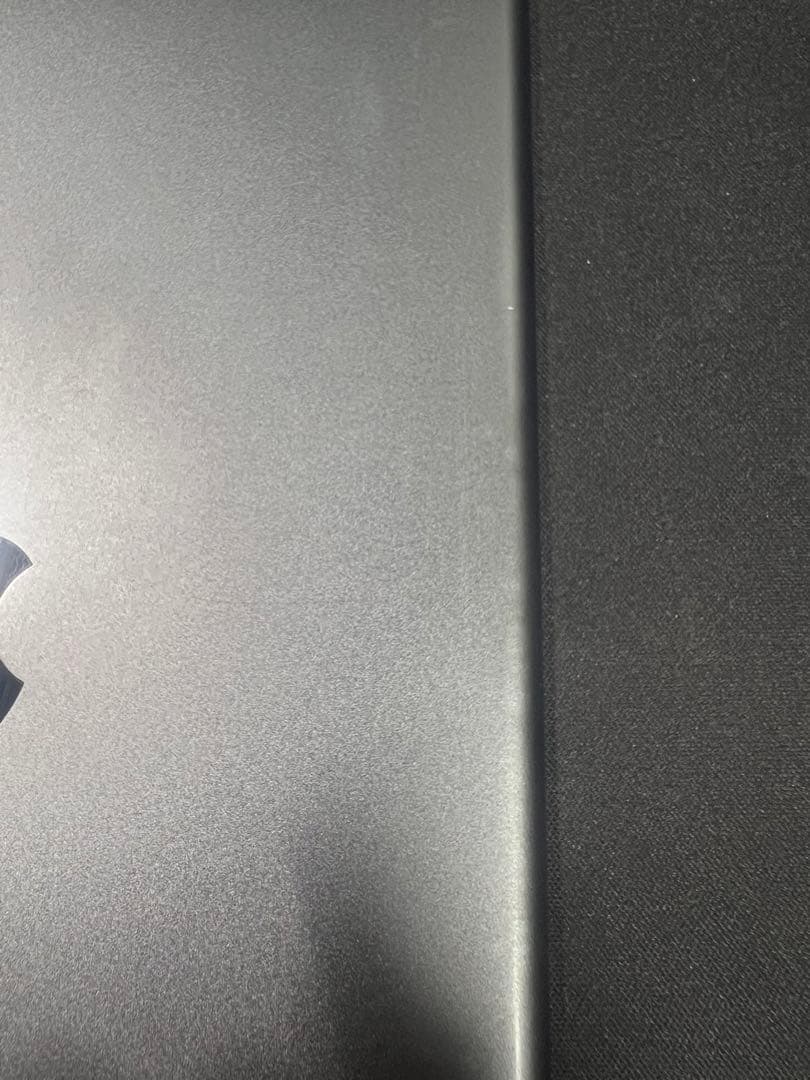 iPad mini 第5世代 (2019) 64GB セルラー スペースグレイ