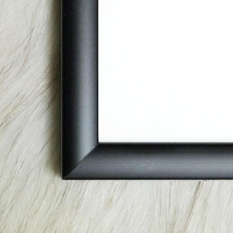 額装品/Framed/リー フリードランダー/アート/ポスター/インテリア