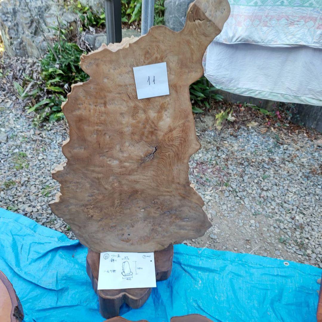 イチイ（一位）のつい立てです。