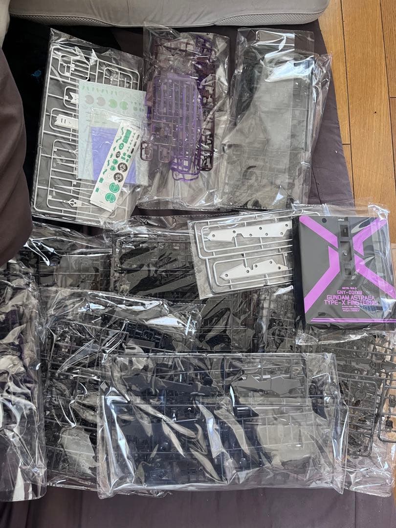 ガンダムアストレアType-X mg ＋　メタルパーツ