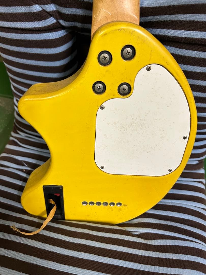 阪神タイガースモデル FERNANDES