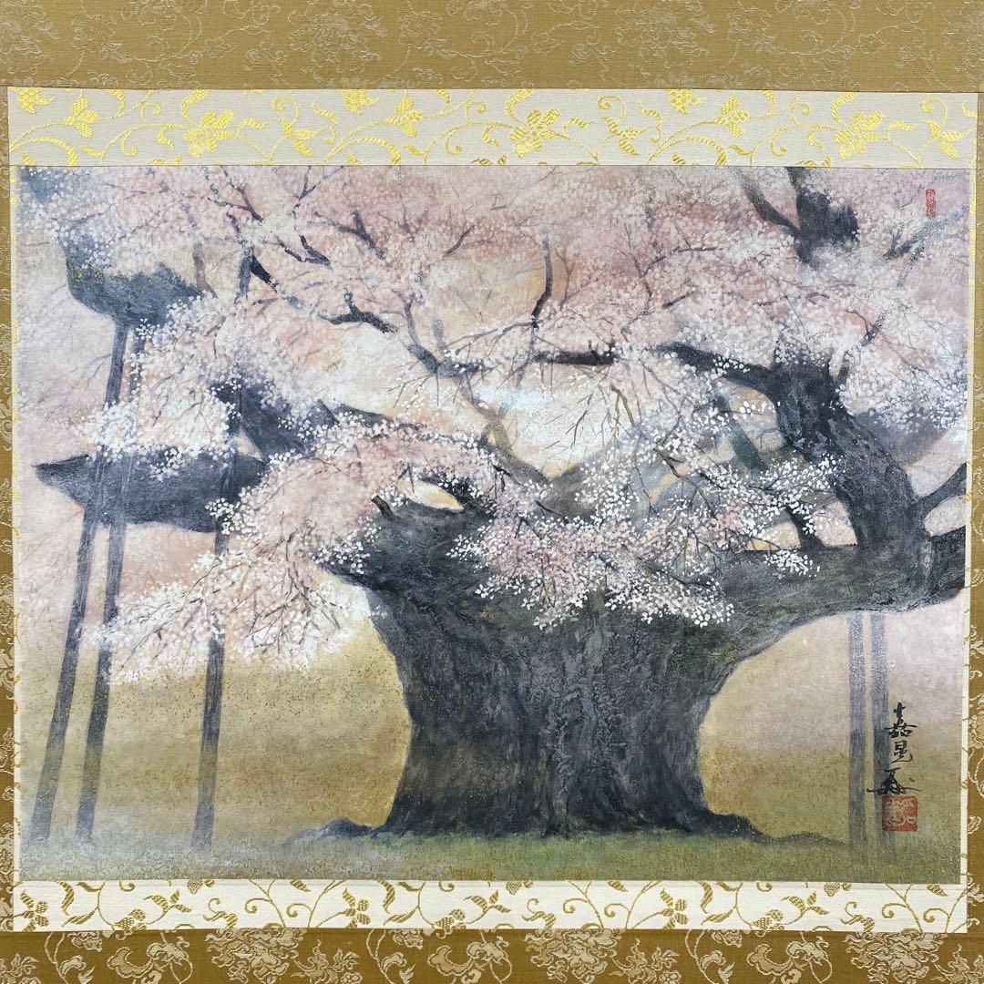 美品 掛け軸 伊藤嘉晃作 淡墨桜図 共箱 さくら 縁起物 美術年鑑掲載