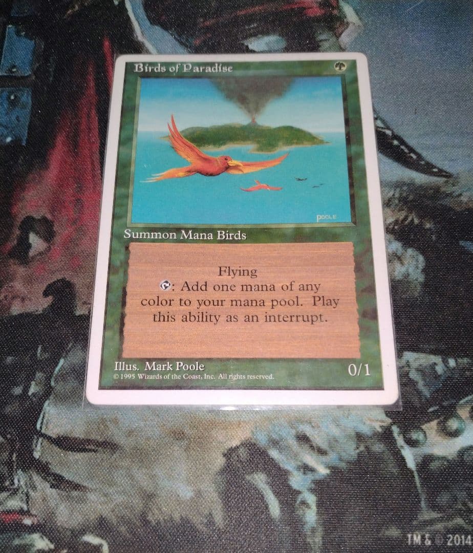 【アルターネイト版】極楽鳥/Birds of Paradise