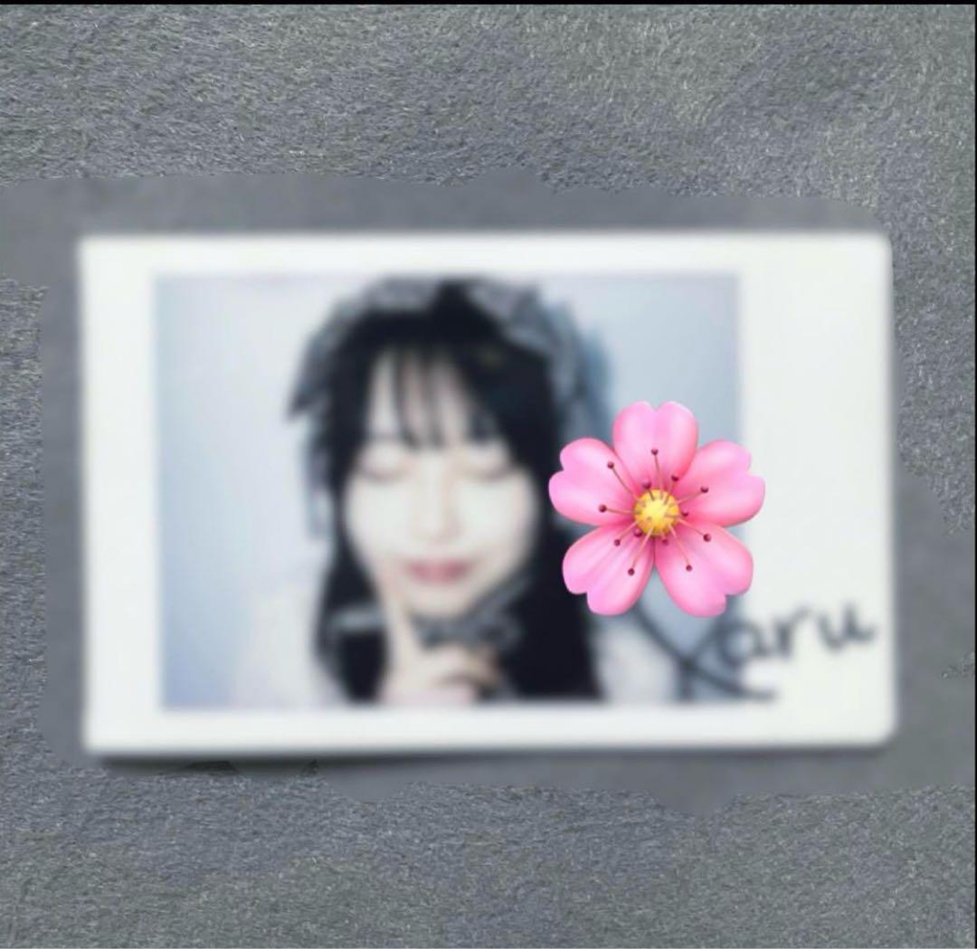 桜庭遥花 ぱるたん LARME 061 直筆サイン入りチェキ