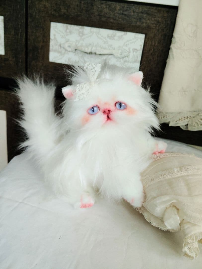 綺麗なオメメの女の子❤エキゾチック子猫ちゃん♡アートドール♡ぬいぐるみ♡