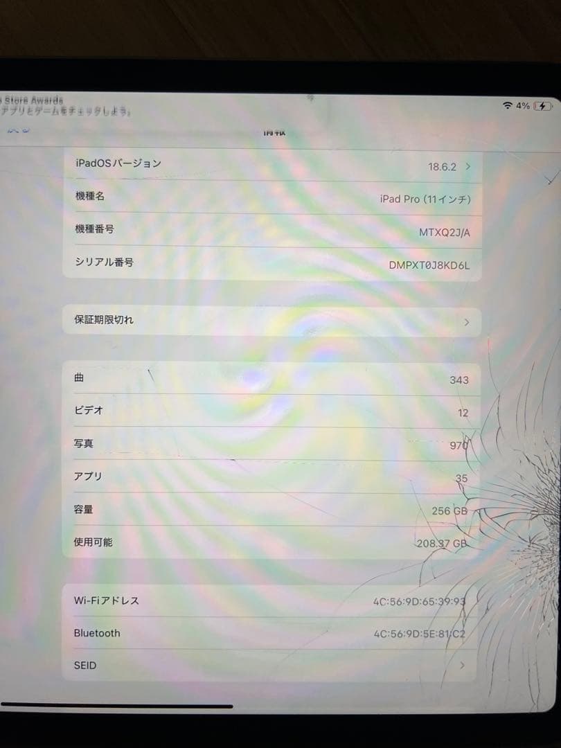 【ジャンク】iPad Pro 11inch 第1世代 256GB 画面割れ