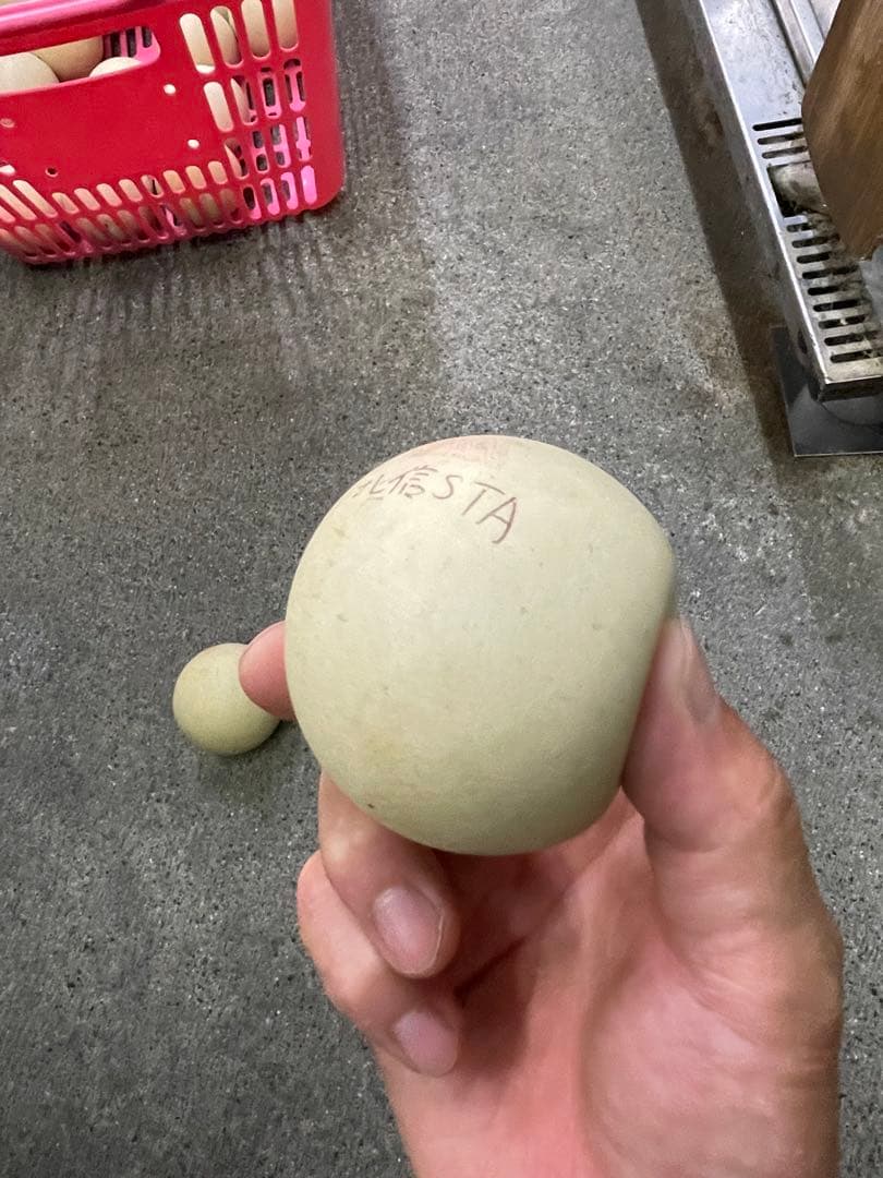 ソフトテニスボール 70個