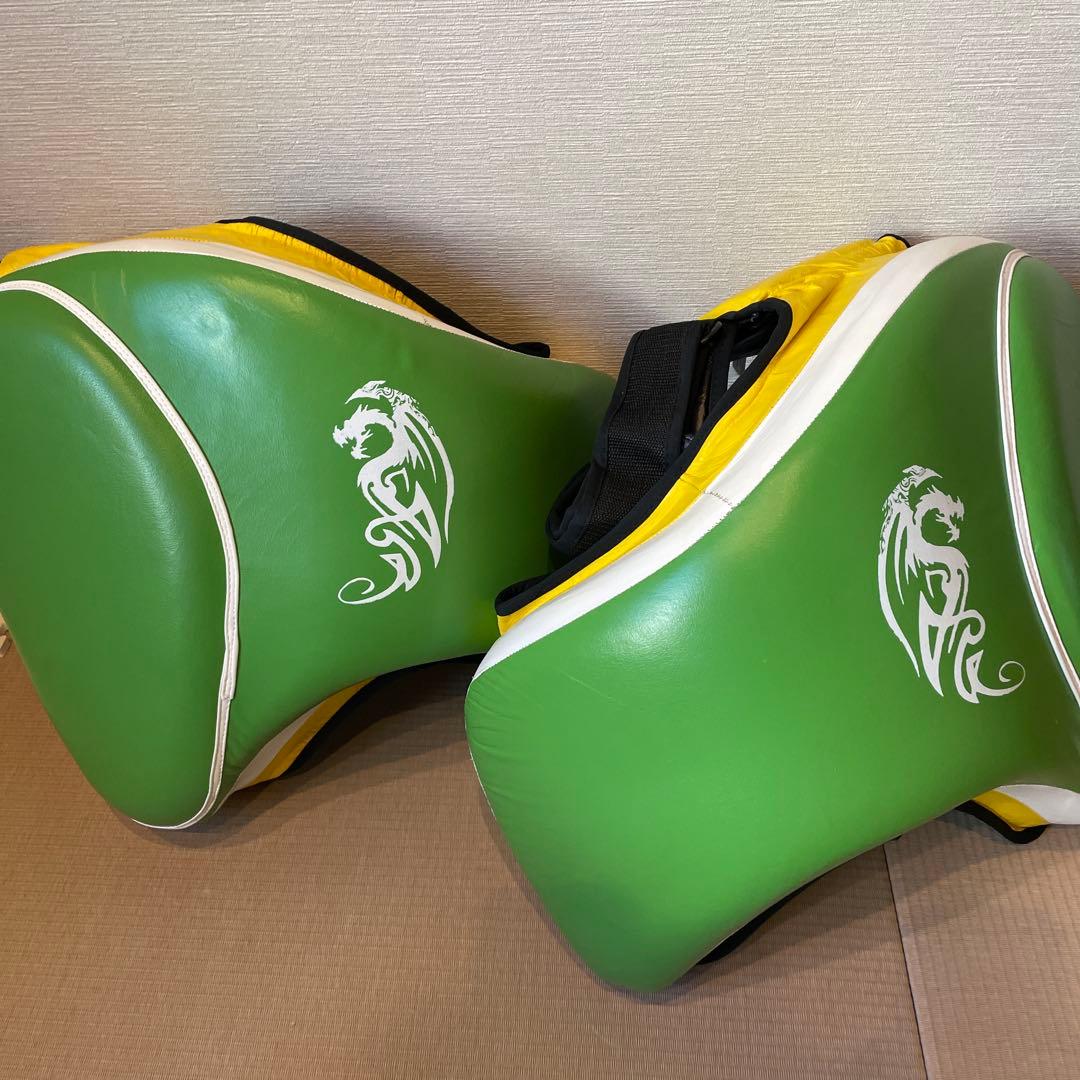 【ISAMI イサミ】NS-140 ローキックプロテクター ストロング