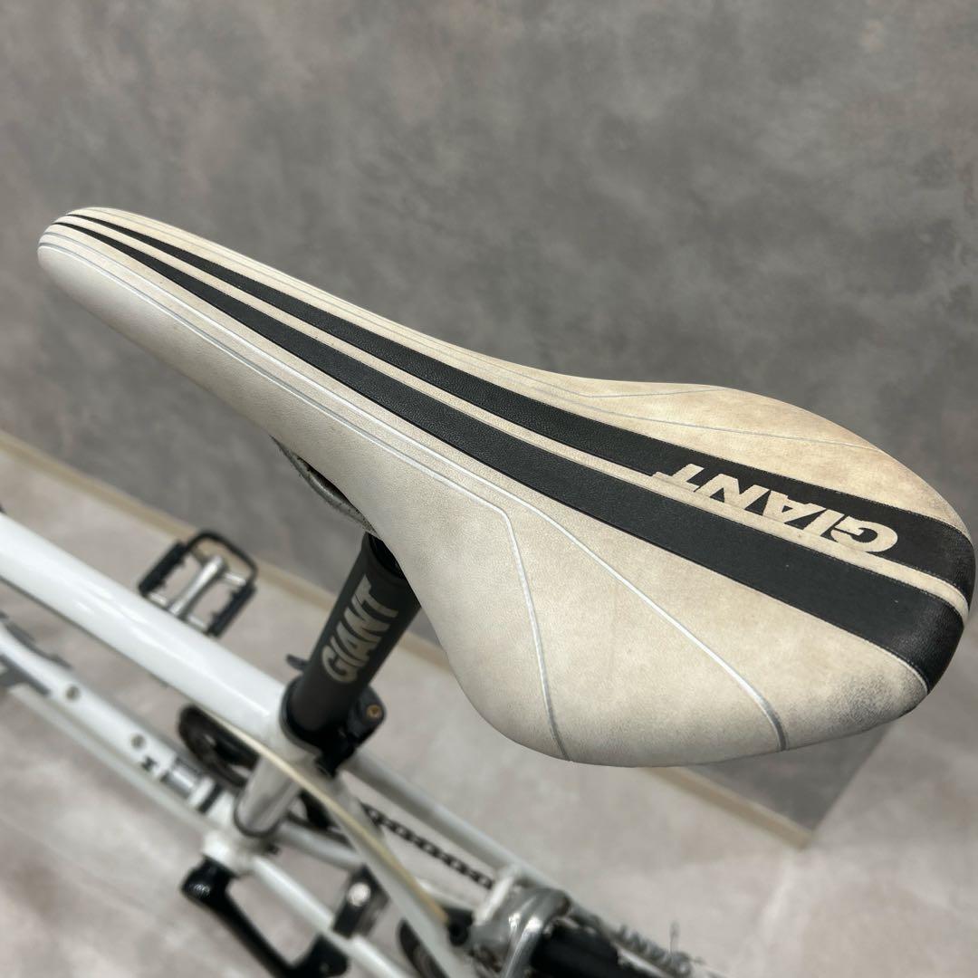 GIANT 「ジャイアント」 IDIOM 20インチ　ミニベロ