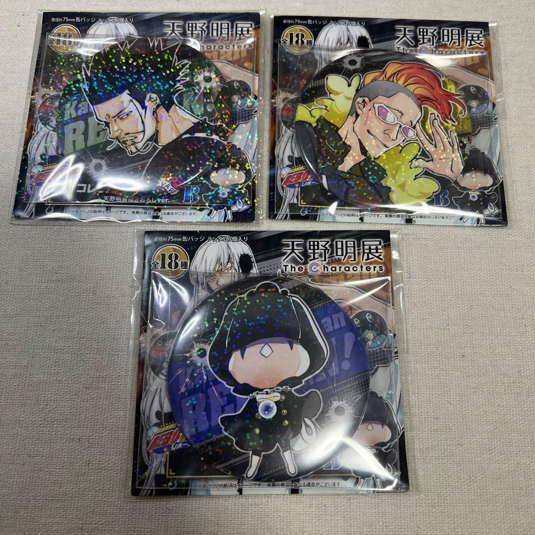 【全キャラコンプ】天野明展 家庭教師ヒットマンREBORN!缶バッジver.B