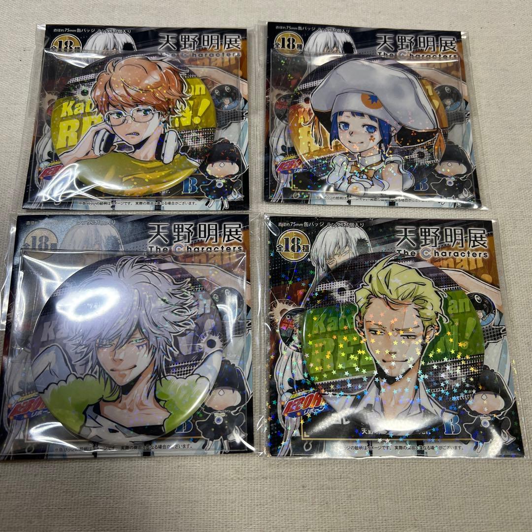 【全キャラコンプ】天野明展 家庭教師ヒットマンREBORN!缶バッジver.B