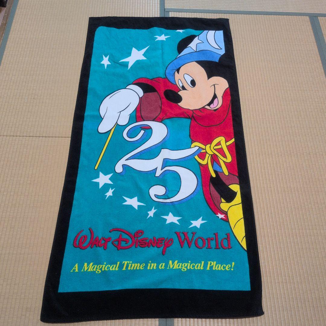 ディズニーワールド　タオルケット3枚セット