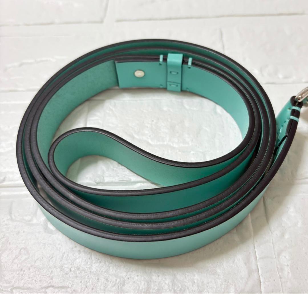 美品・特価✨ティファニー ブルー×シルバー レザー リード ペット リシュー