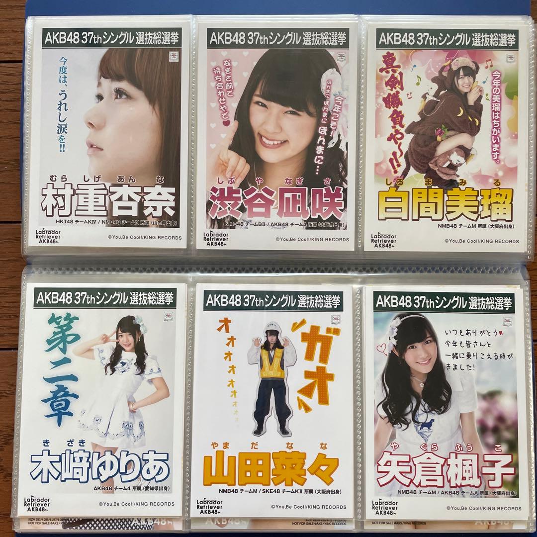 AKB ラブラドールレトリバー 劇場 生写真