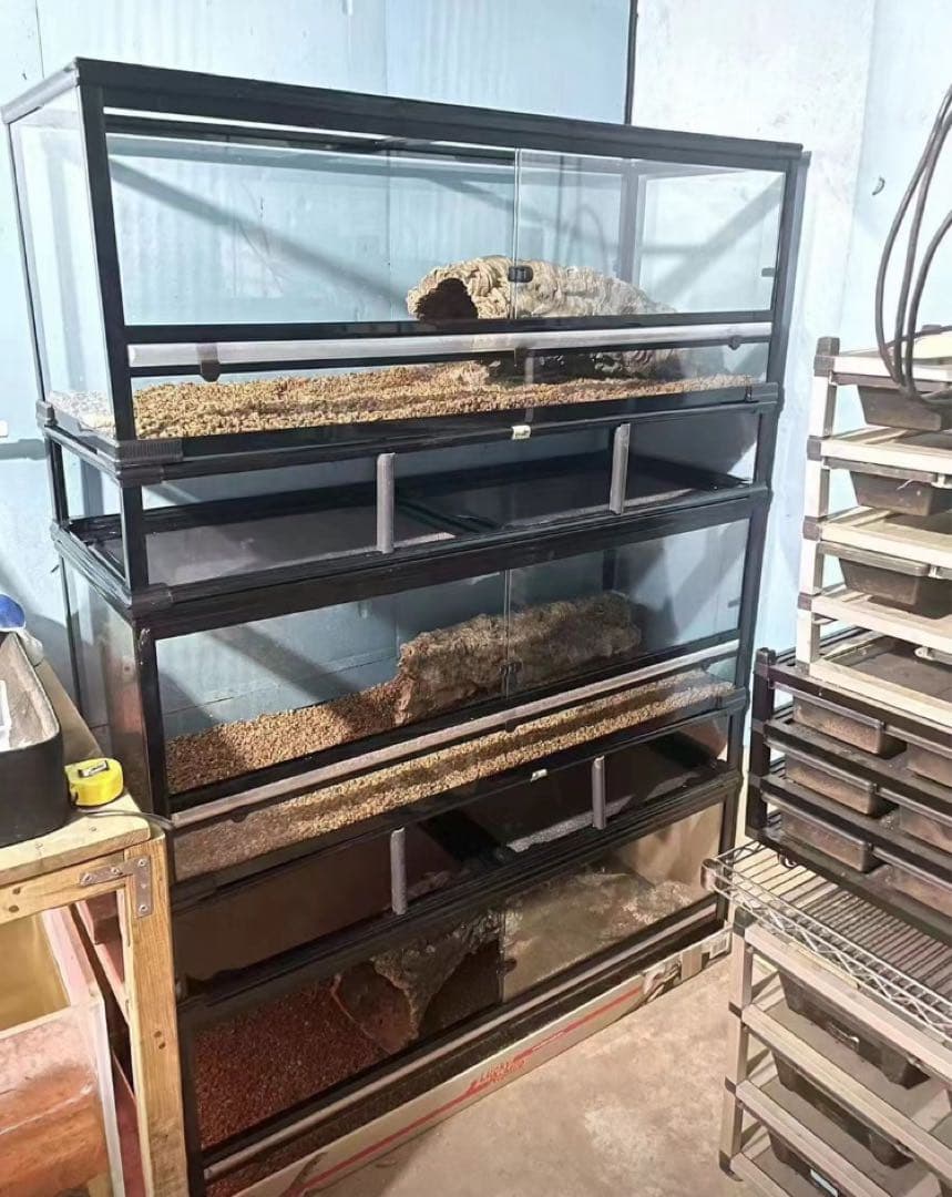 爬虫類用品卸 爬虫類飼育ガラスケージ両生類飼育ケージ603030(cm引取り限定