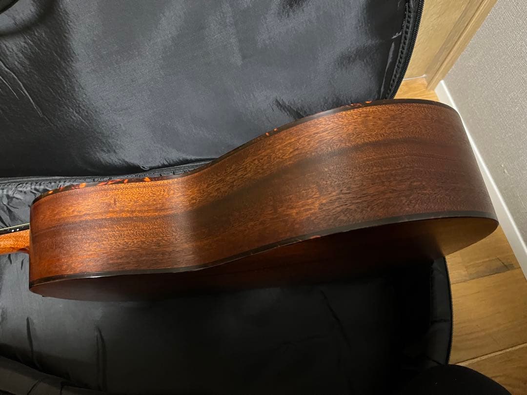 仕様変更★ Eastman E1-00SS★オール単板★調整済み