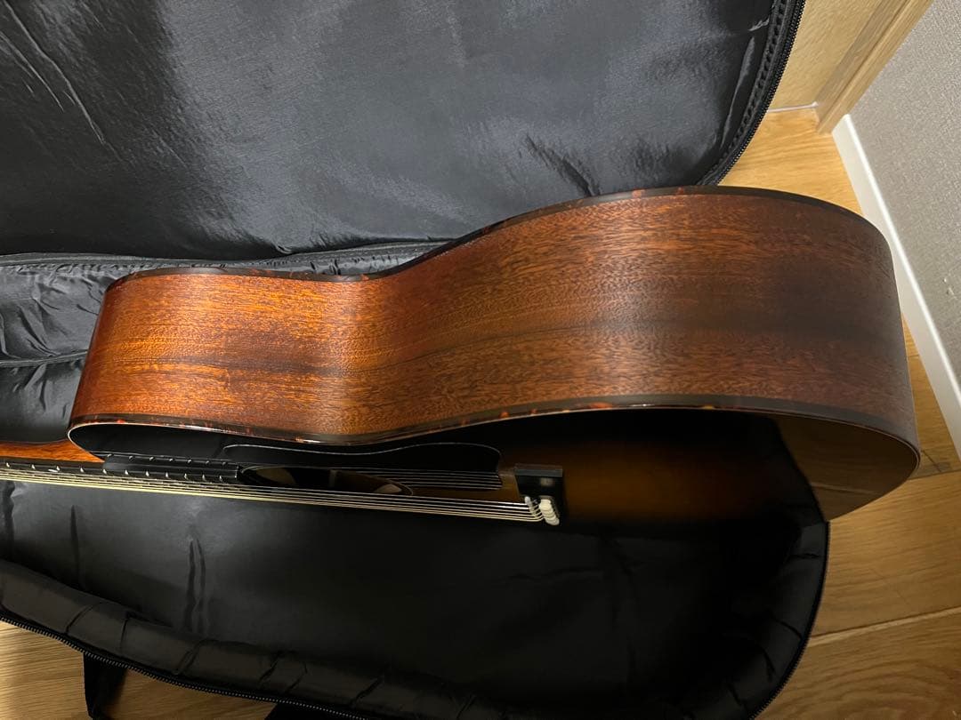 仕様変更★ Eastman E1-00SS★オール単板★調整済み