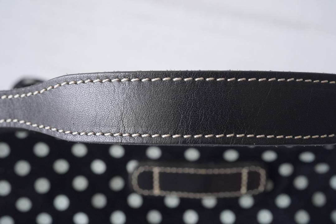 Acru レザーバッグ 本革 レザー カメラバッグ 美品 アクリュ ハンドバッグ