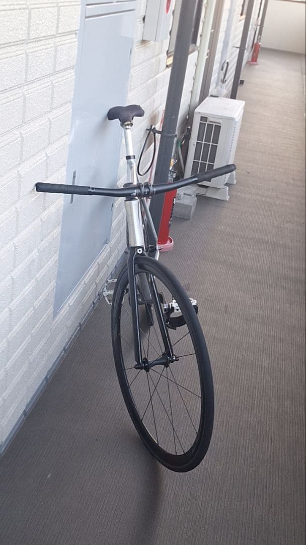 ダーカスワン　マスター前期　完成車