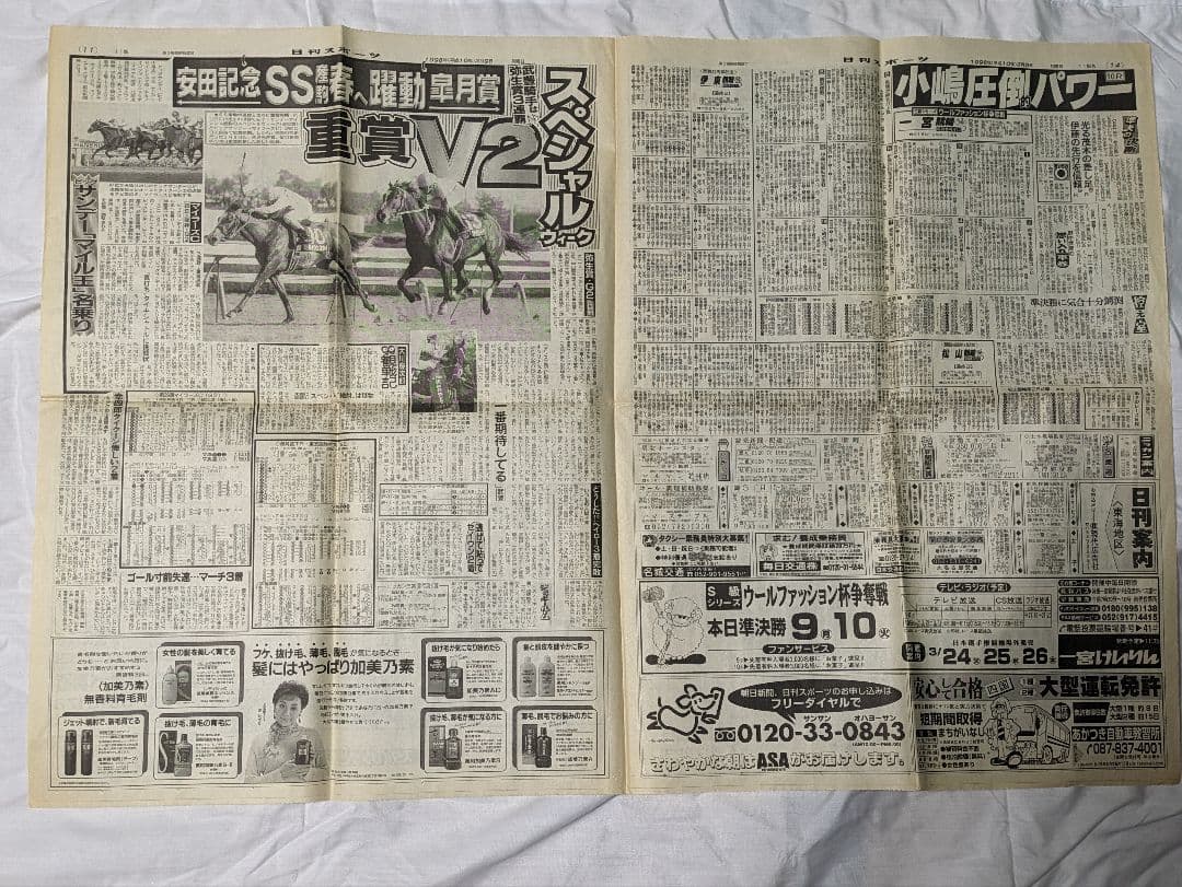 スペシャルウィーク　武豊　日本ダービー　競走馬　パネル　額縁　スポーツ新聞付き