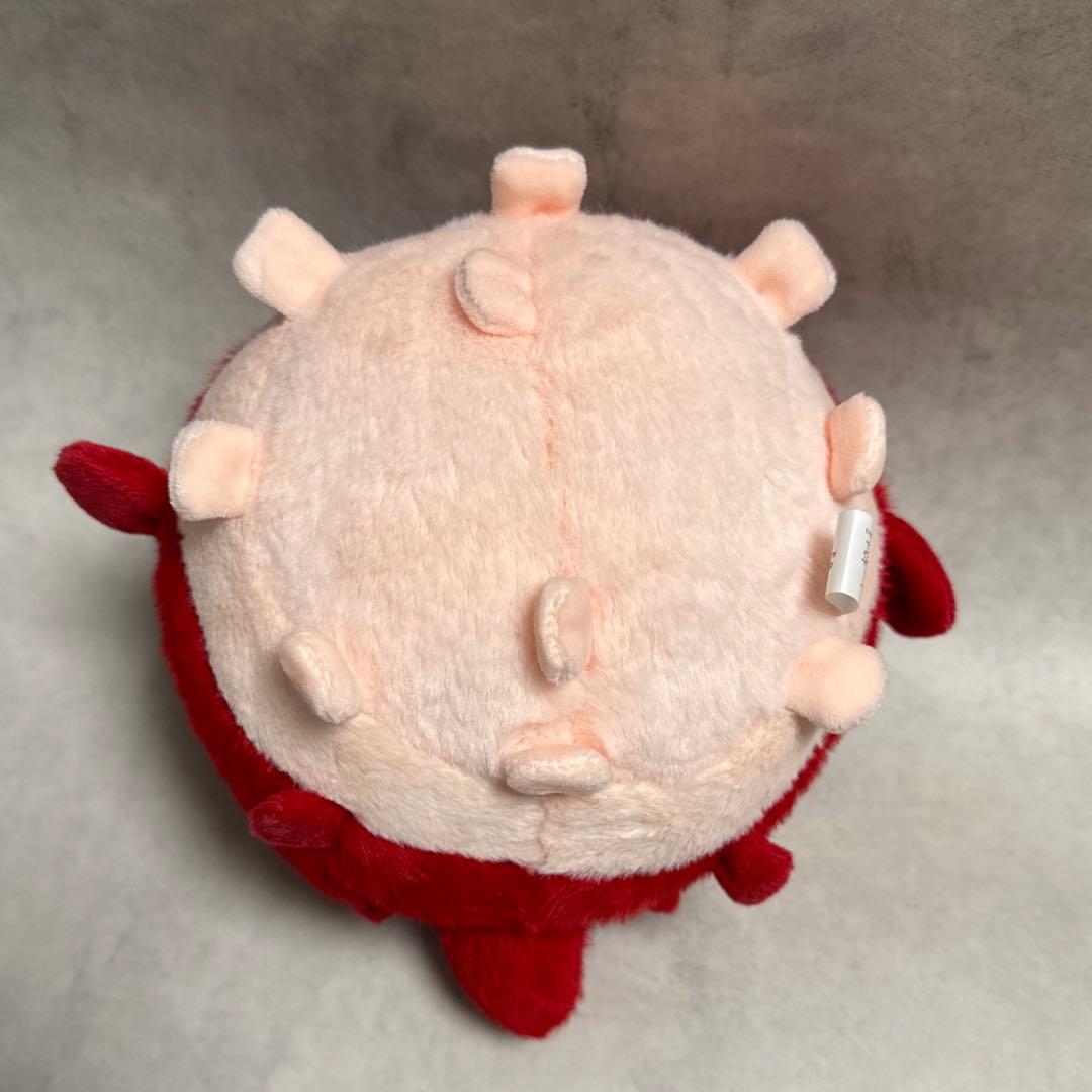 恋と深空 2024年VIPギフトボックス 日本語版 ホムラ 3点セット