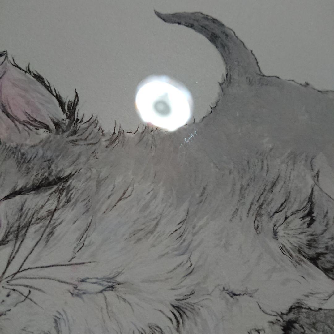 伊藤清子 SAYAKO ITOH 子猫 cat 日本画 直筆 サイン入り 額付き