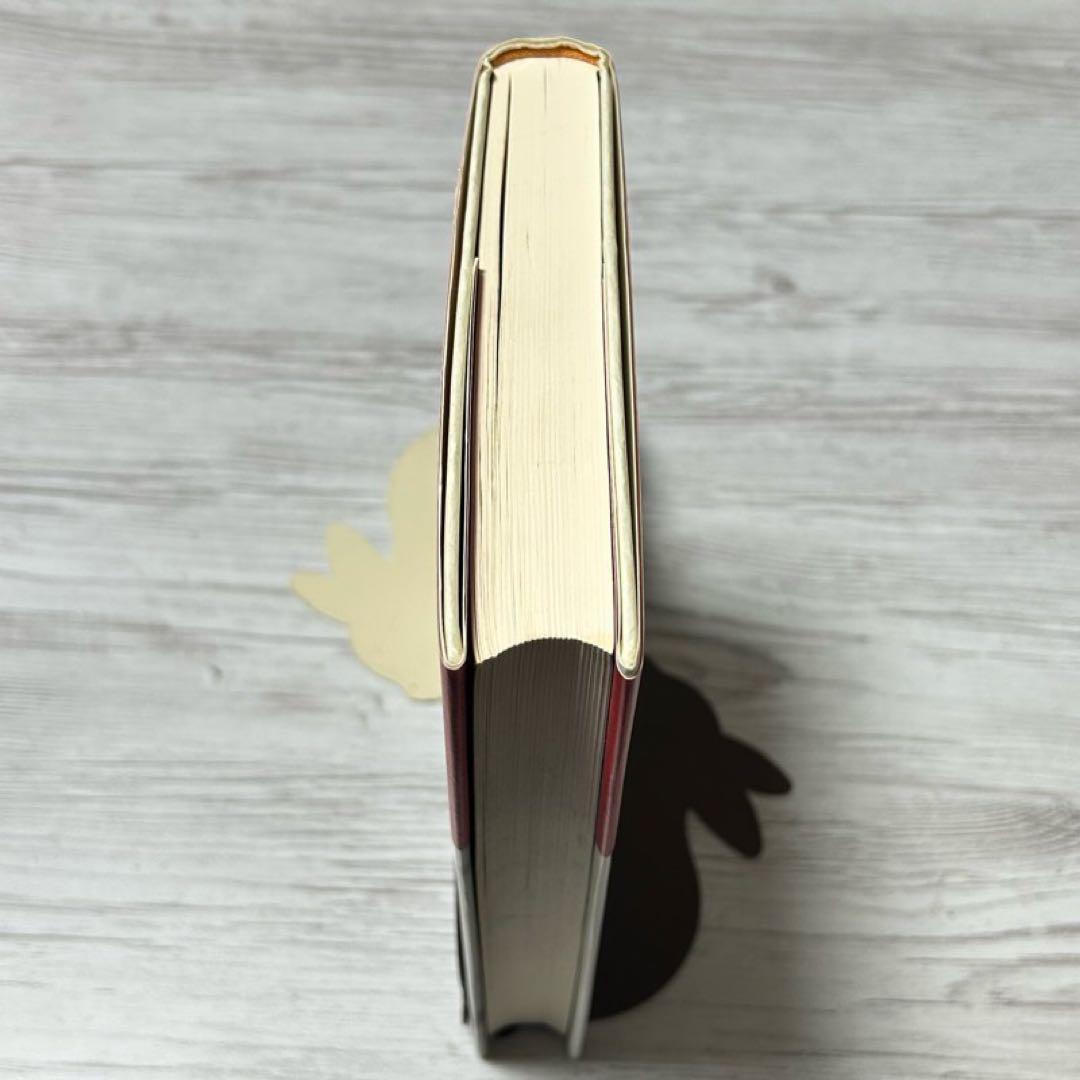 【メルカリ便】円の支配者 : 誰が日本経済を崩壊させたのか　リチャード　希少