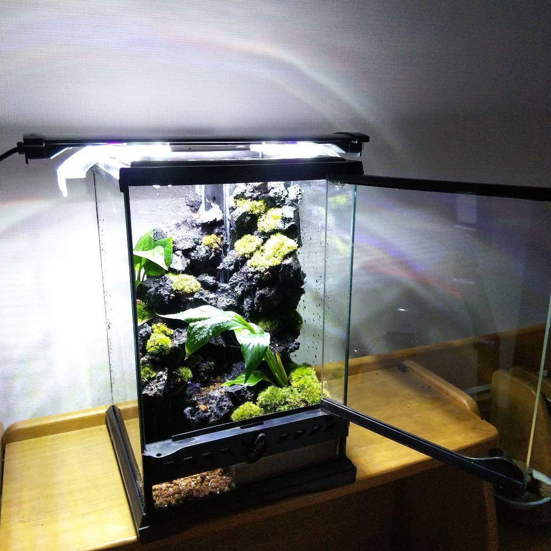 【オーダーメイド】滝のあるアクアテラリウム