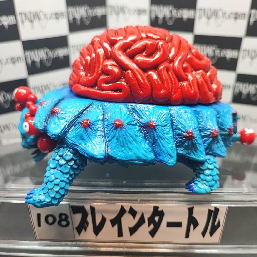 108ブレインタートル