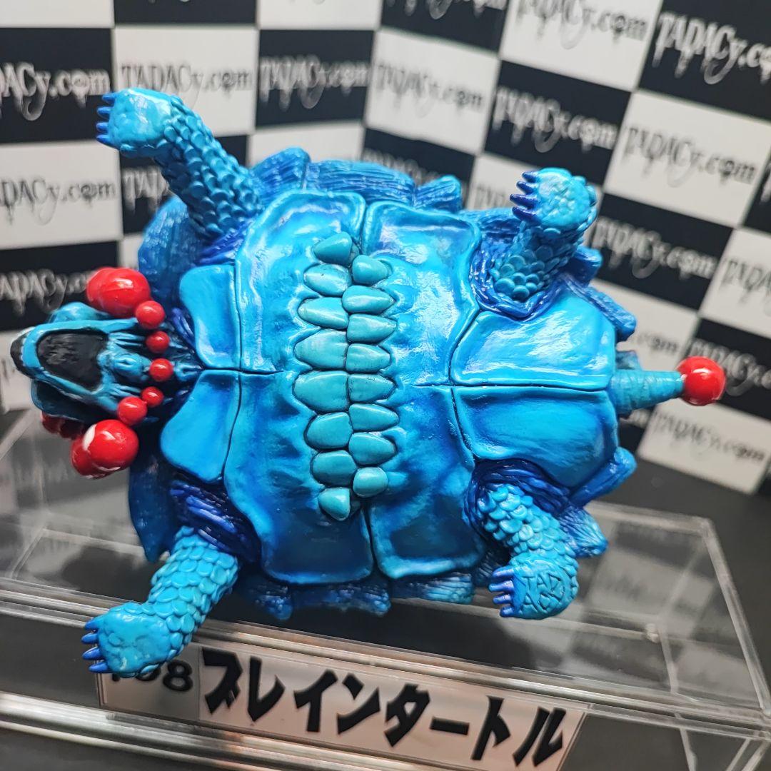 108ブレインタートル