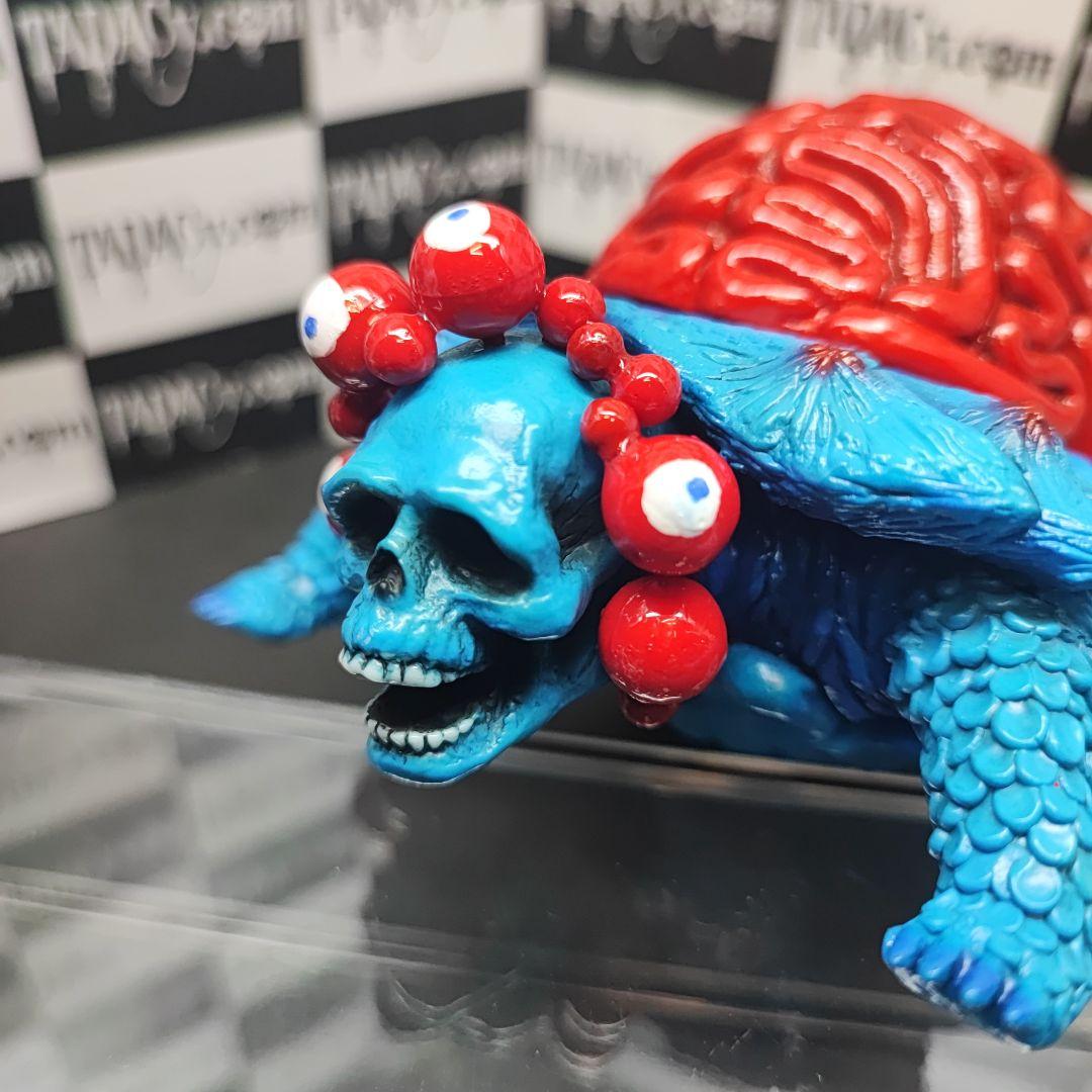 108ブレインタートル